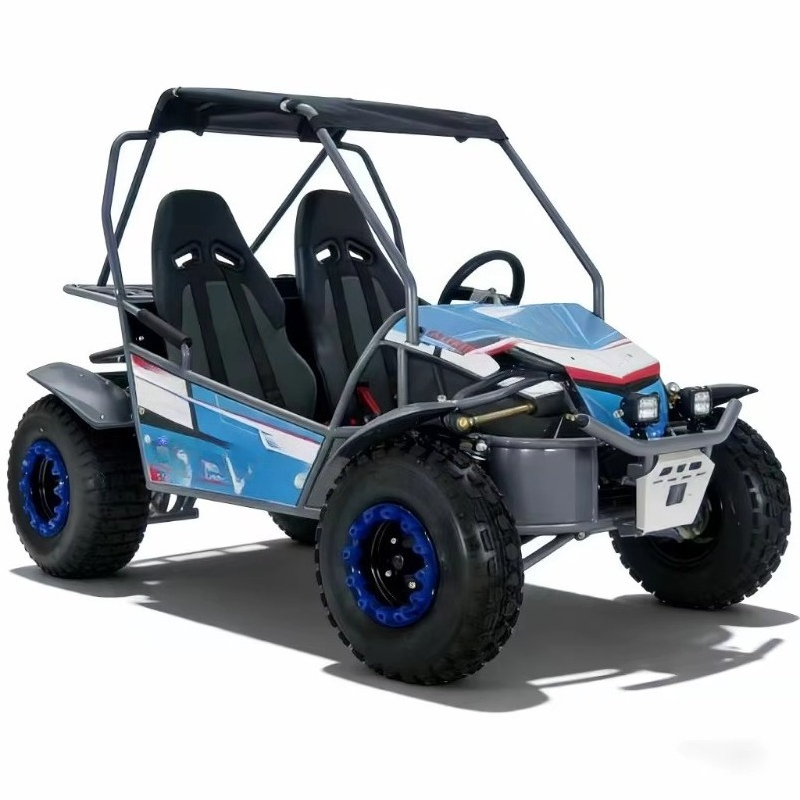 핫세일 4행정 2인승 가스 구동 고카트 180CC 듄  - Outdoor Adventure Utv 리뷰 및 가격